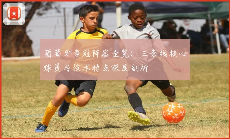葡萄牙争冠阵容全览:三条线核心球员与技术特点深度剖析